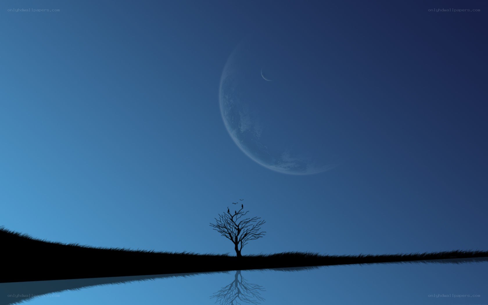 Silhouette tree under crescent moon