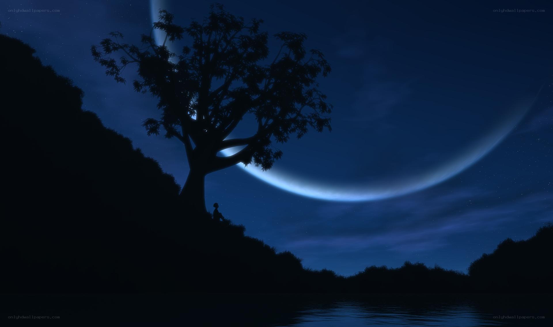 Silhouette tree under crescent moon