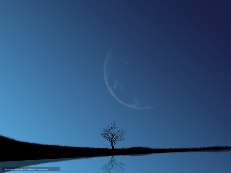Silhouette tree under crescent moon