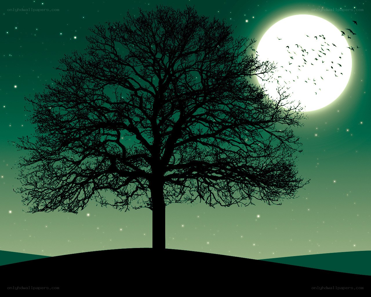 Silhouette tree under full moon