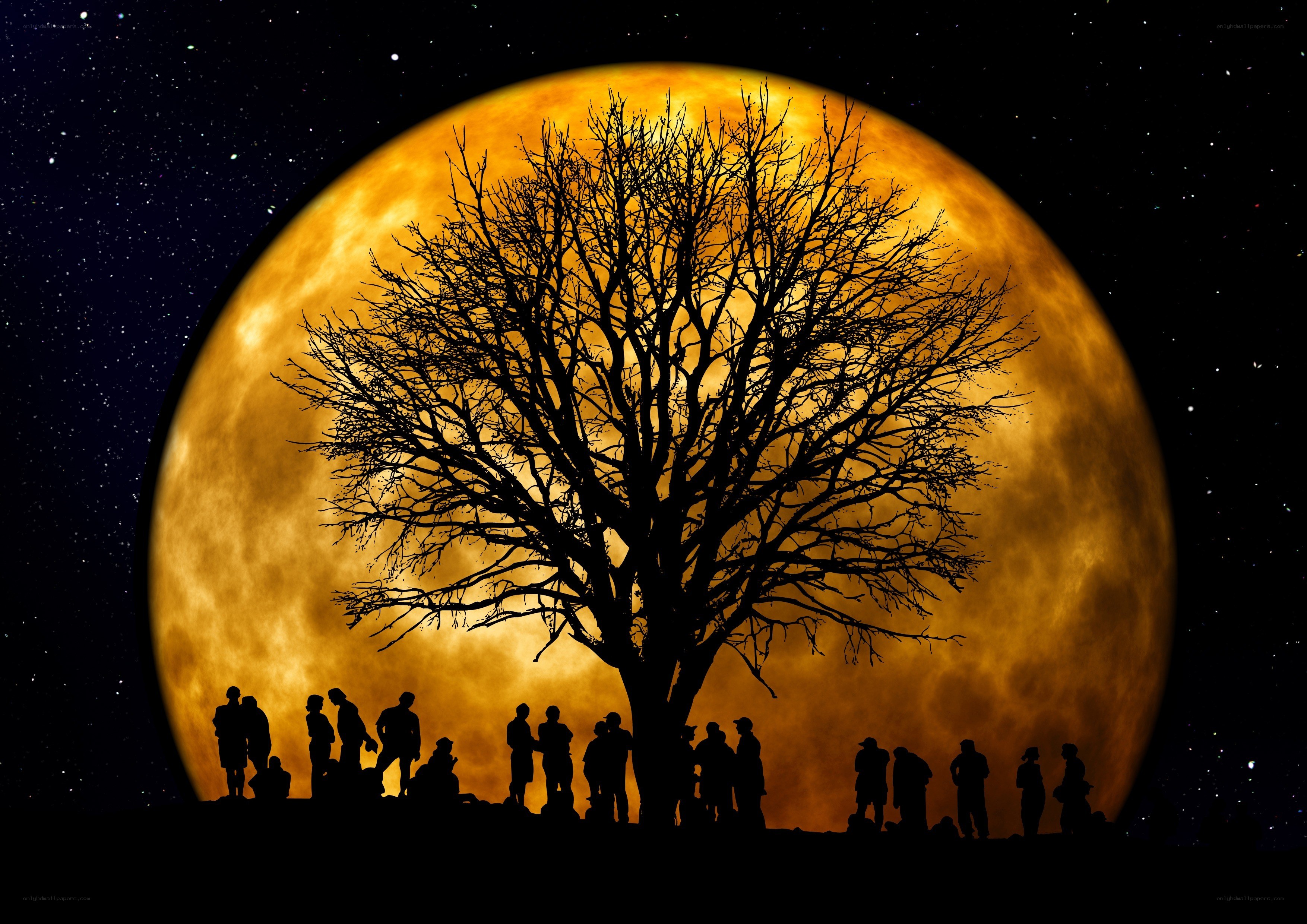 Silhouette tree under full moon