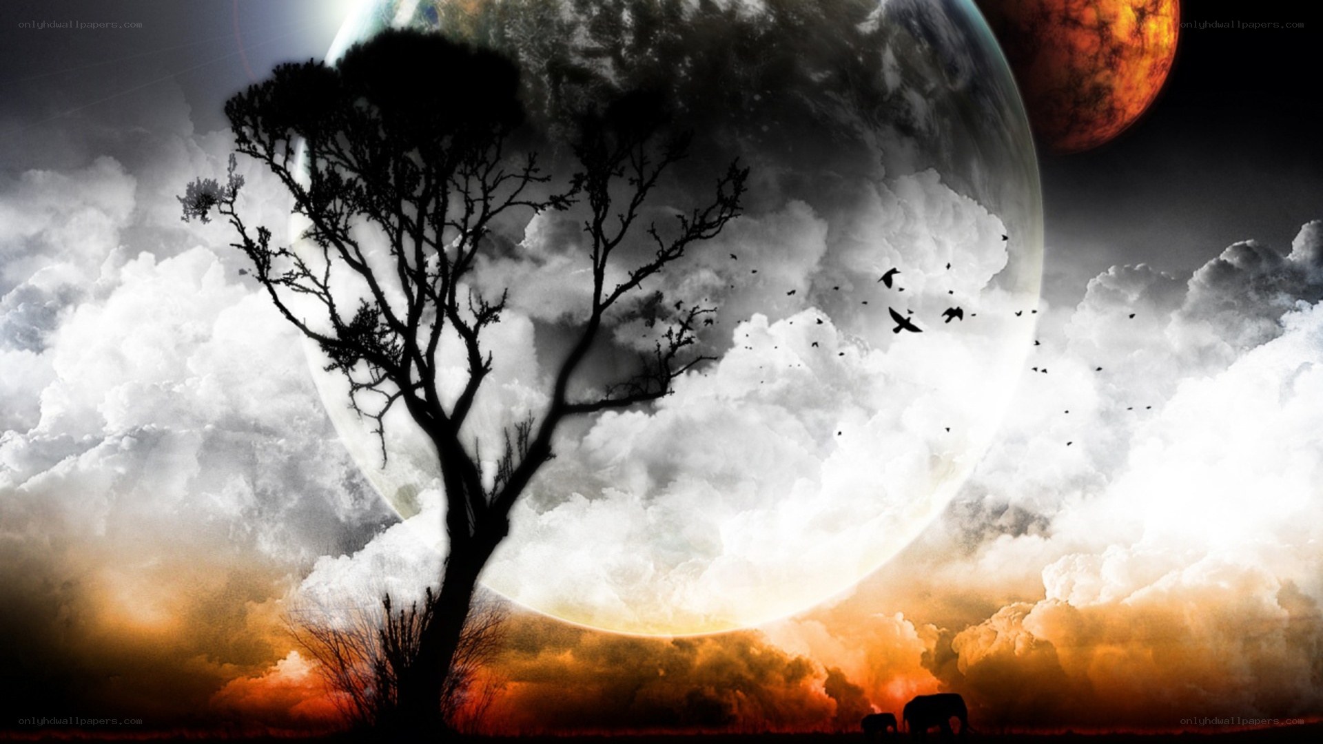 Silhouette tree under giant moon