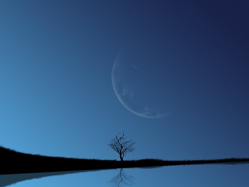 Silhouette tree under moon