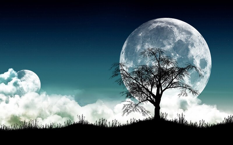 Silhouette Tree under Moon — Black, Serene, Night, Digital Art, Clouds