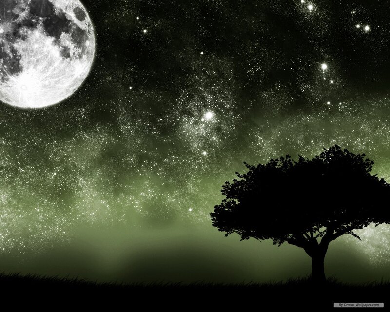 Silhouette Tree under Moon — Black, Serene, Night