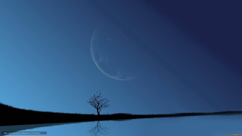 Silhouette tree under moon