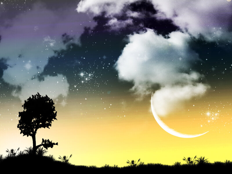 Silhouette Tree under Moon — Yellow