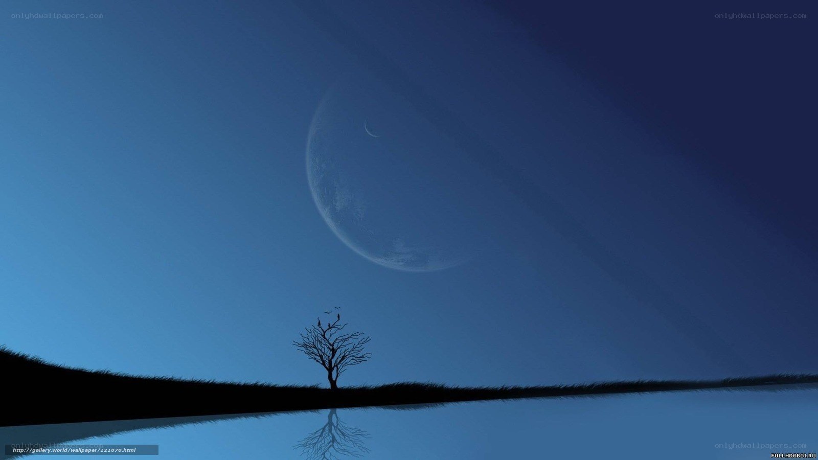 Silhouette tree under moon