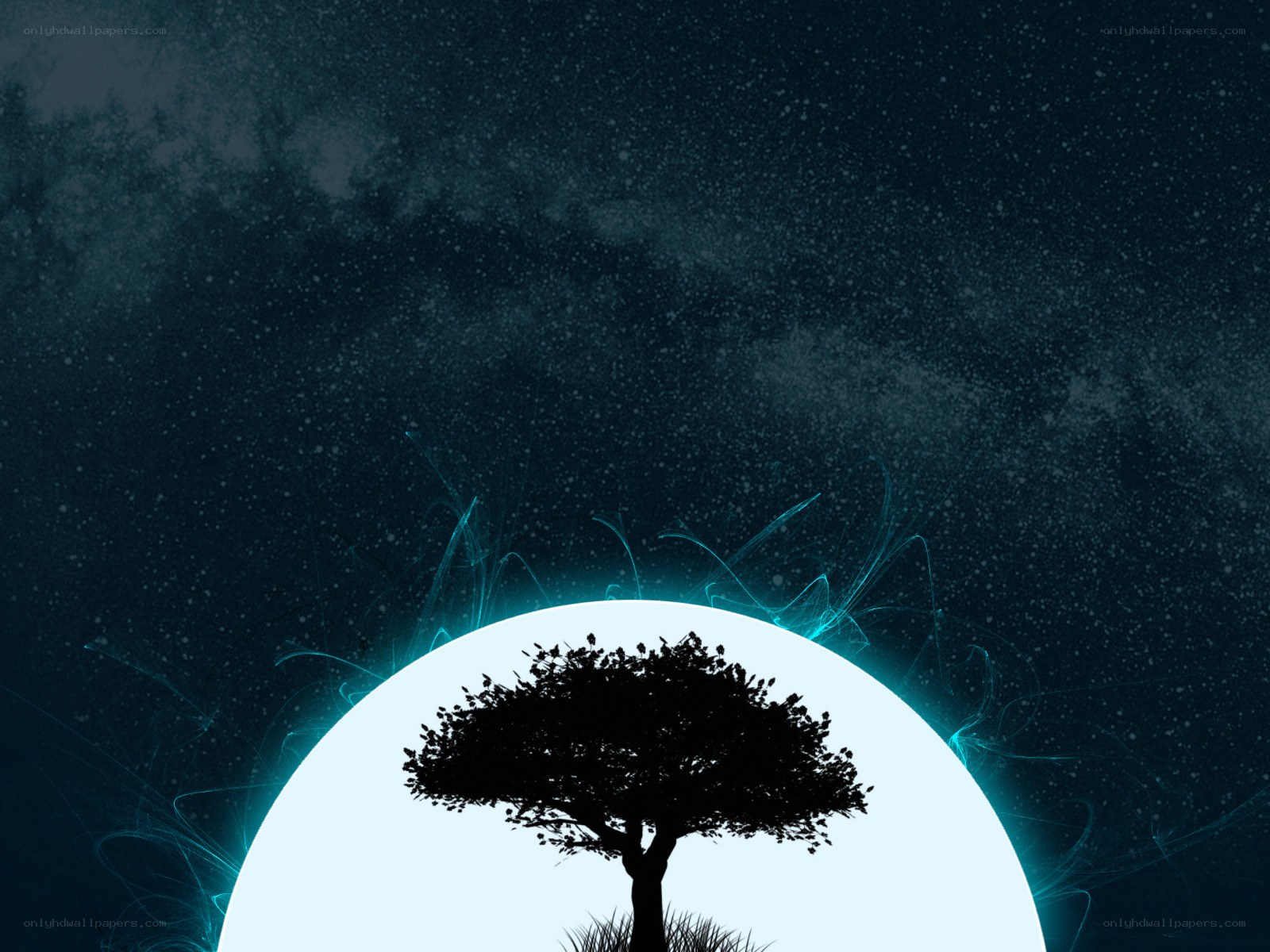 Silhouette tree under moonlight