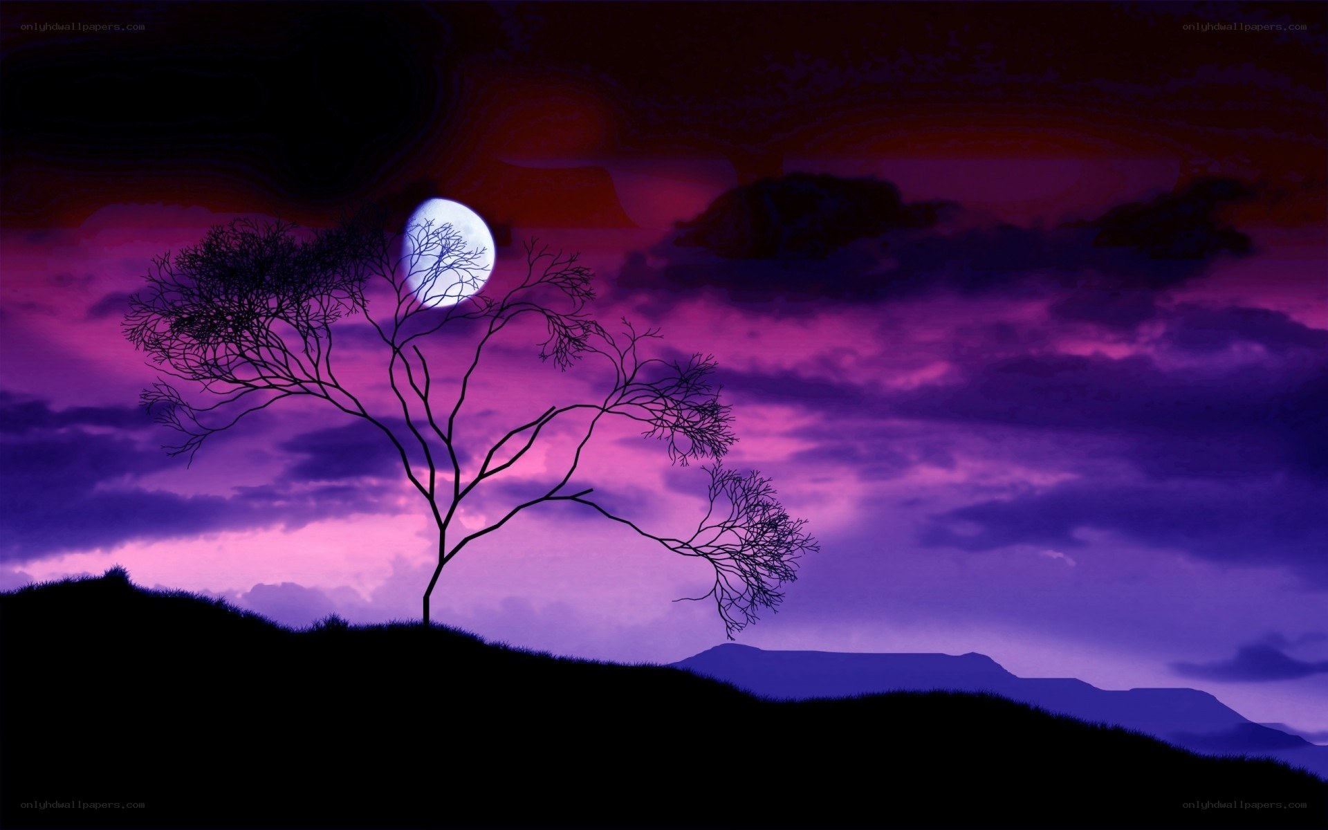 Silhouette tree under purple moon