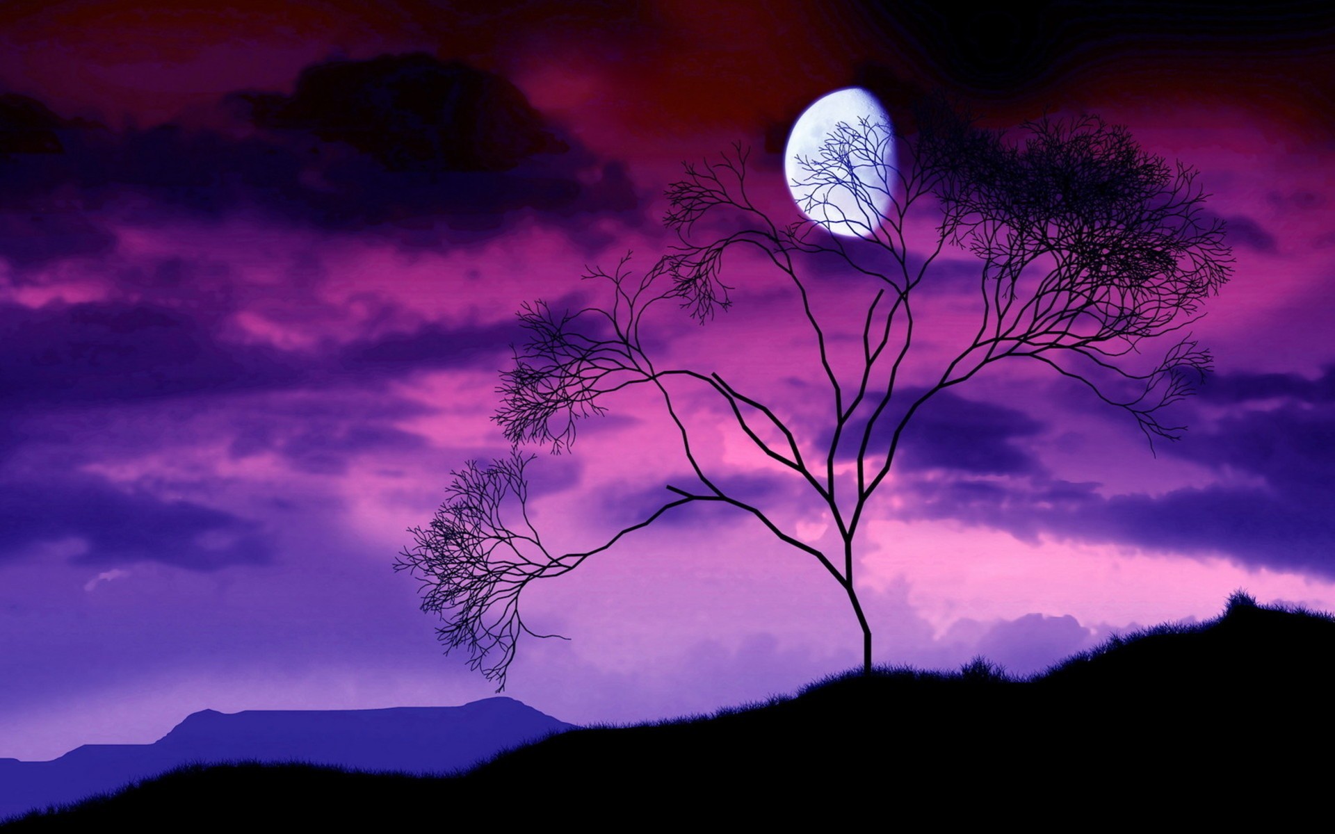 Silhouette tree under purple moon