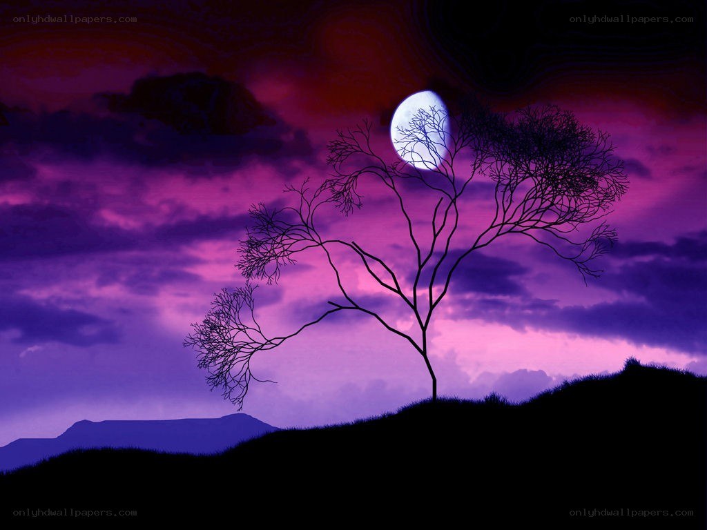 Silhouette tree under purple moon