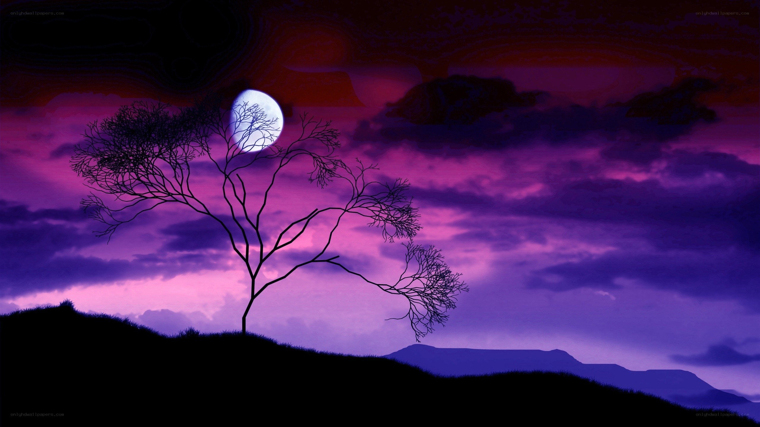 Silhouette tree under purple moon