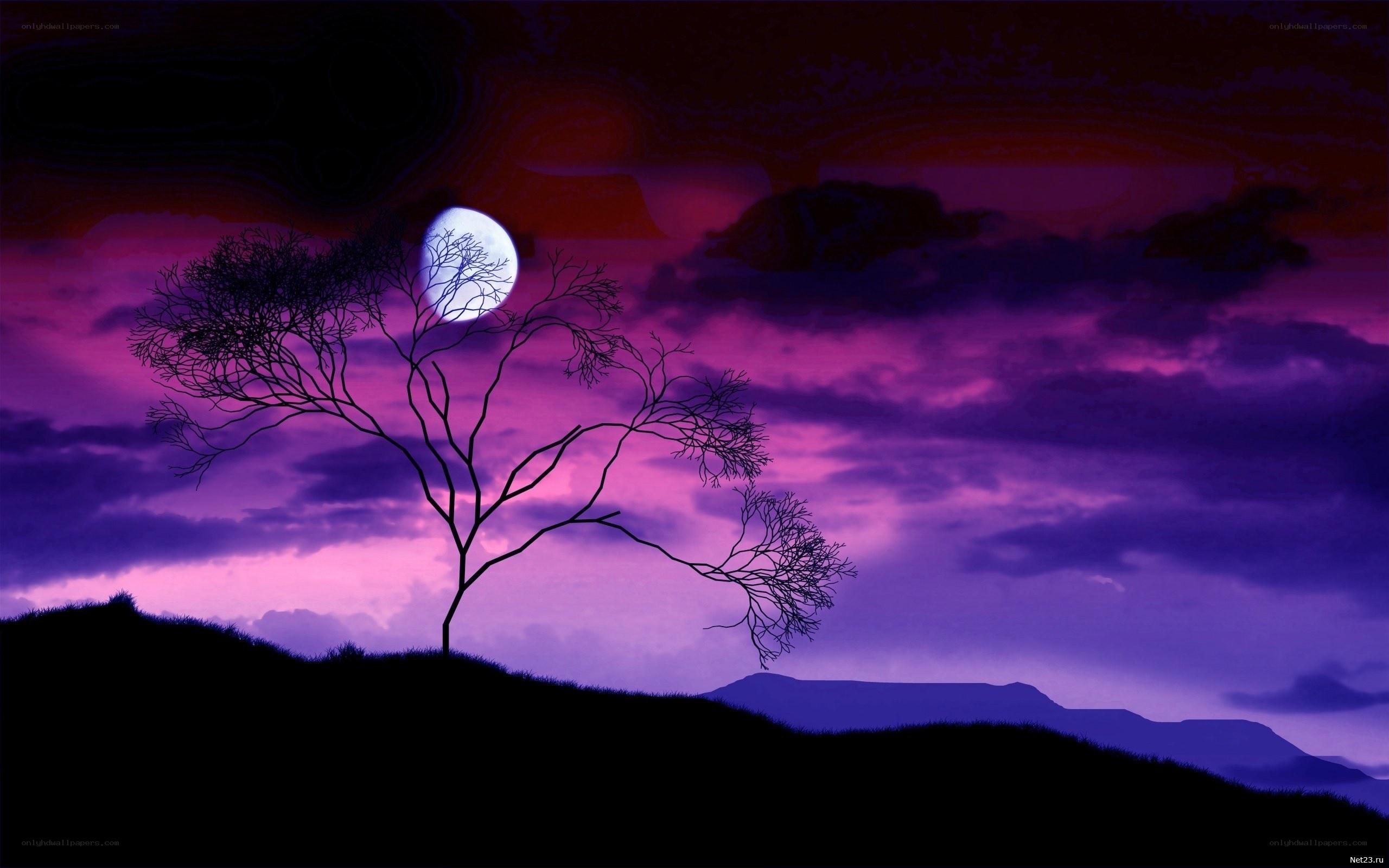 Silhouette tree under purple moon