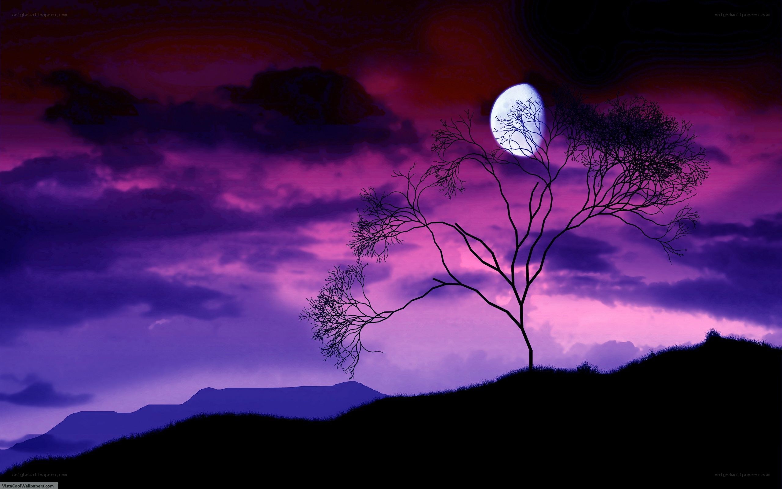 Silhouette tree under purple moon
