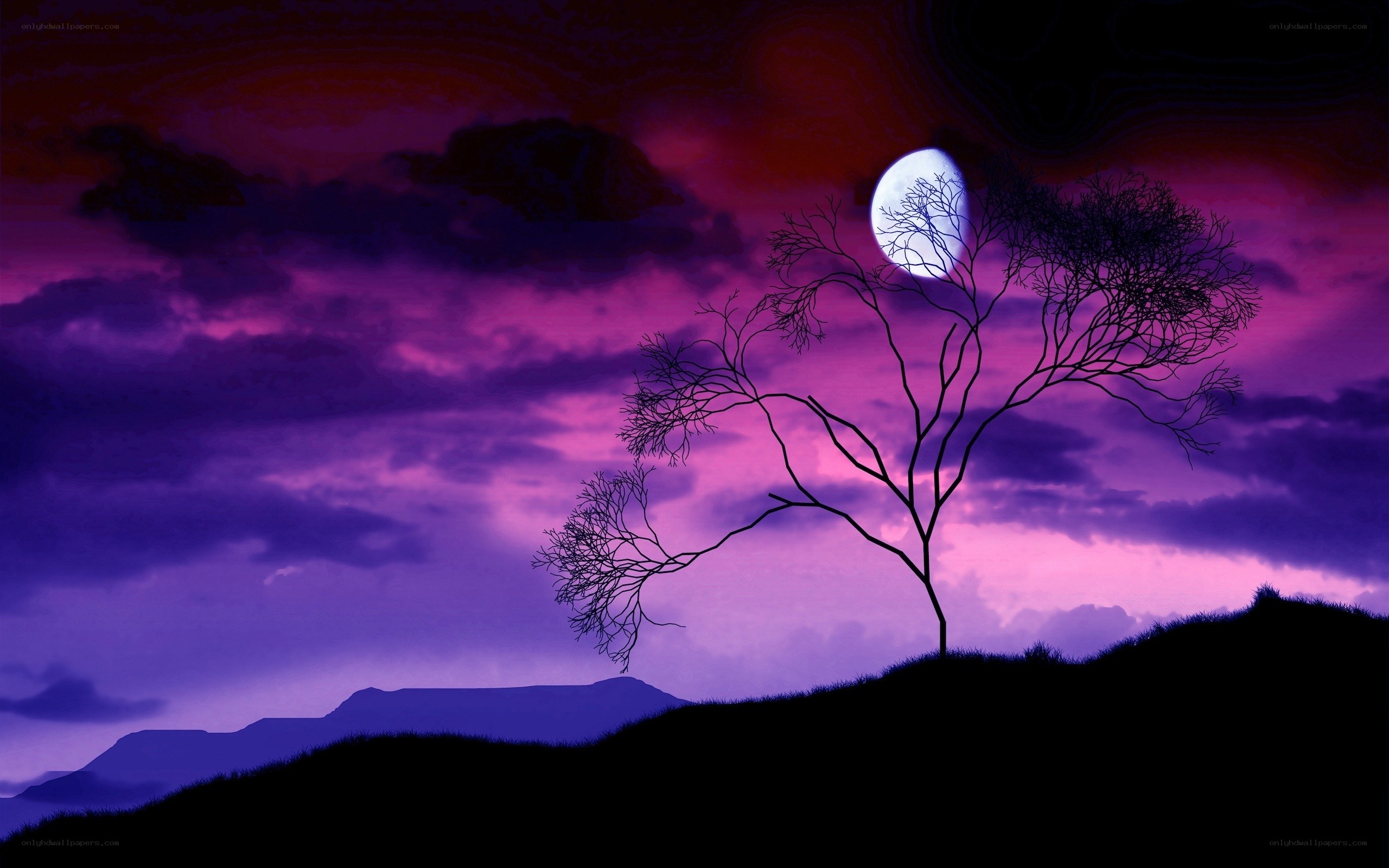 Silhouette tree under purple moon