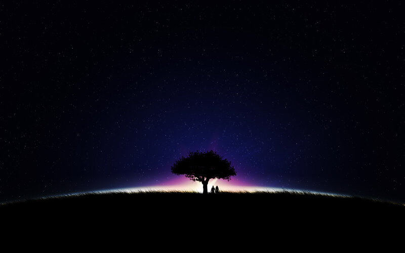 Silhouette tree under starry sky