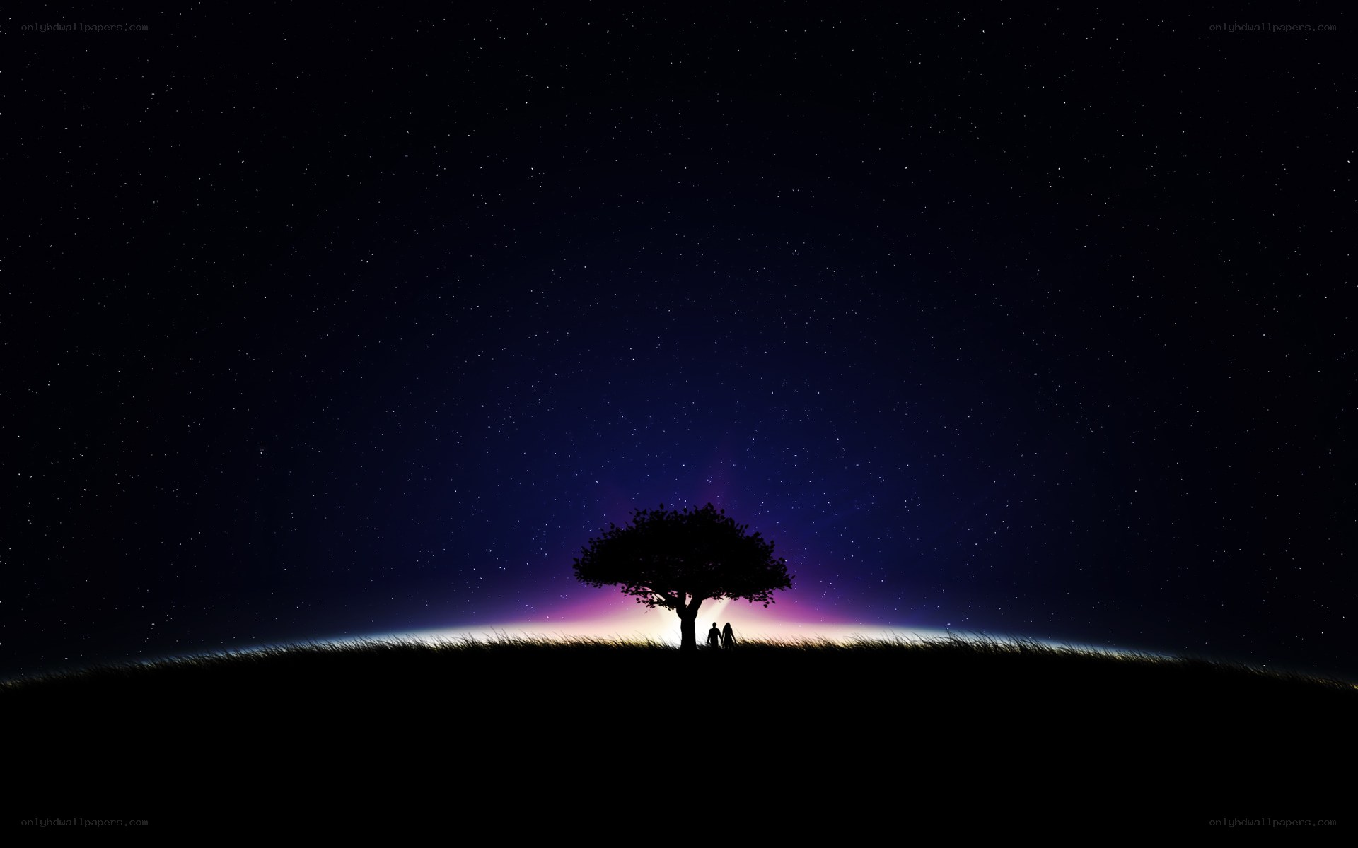 Silhouette tree under starry sky