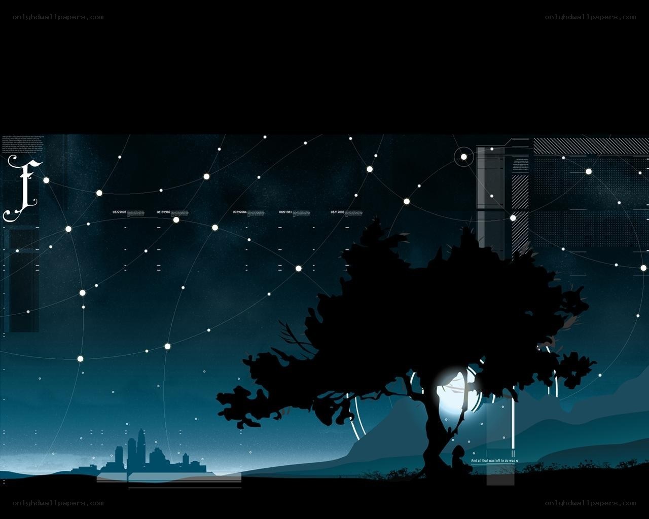 Silhouette tree under starry sky