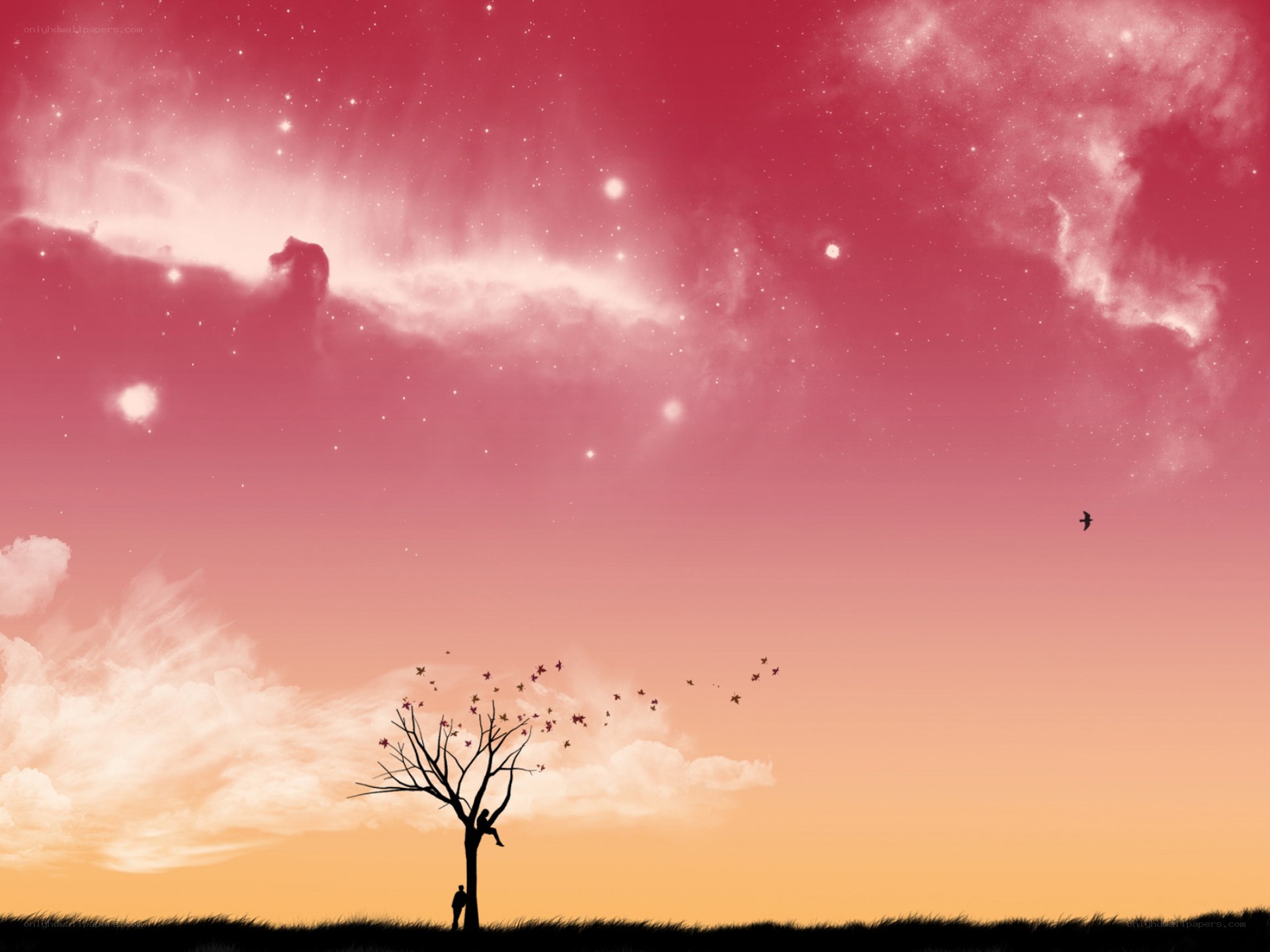 Silhouette tree under starry sky