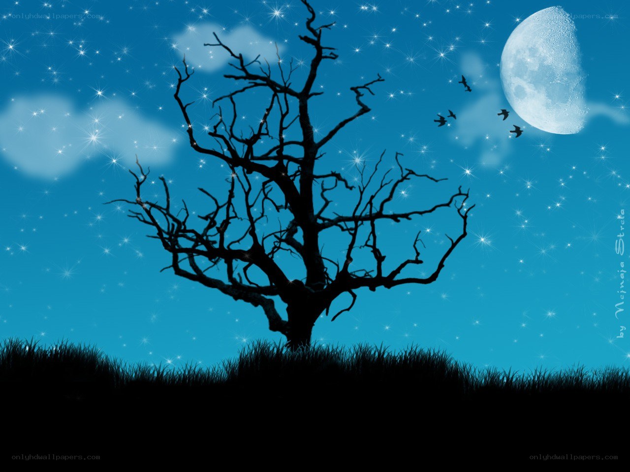 Silhouette tree under starry sky