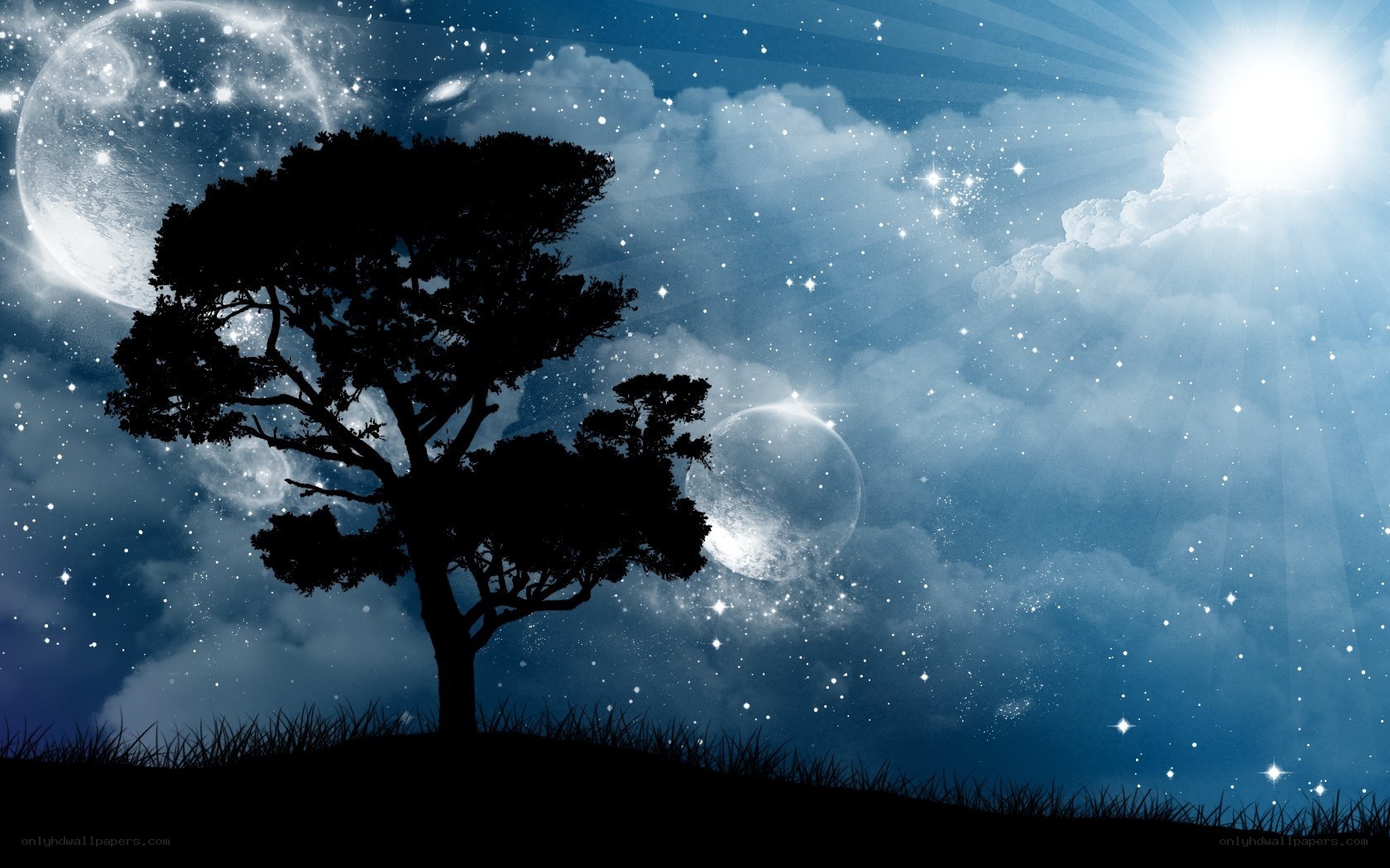 Silhouette tree under starry sky