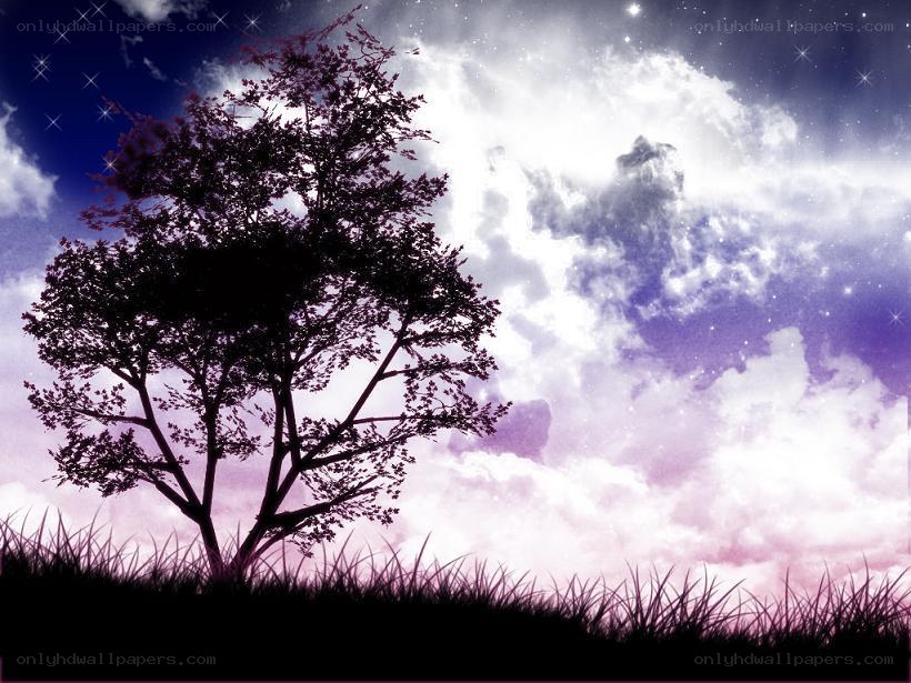 silhouette tree under starry sky