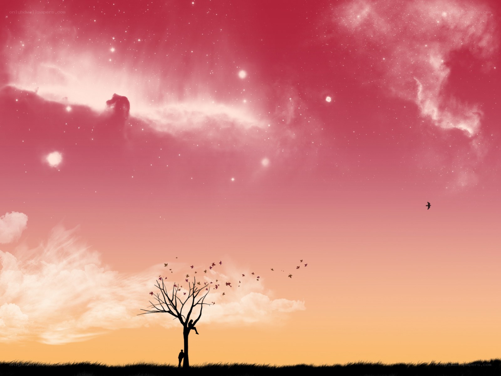 Silhouette tree under starry sky