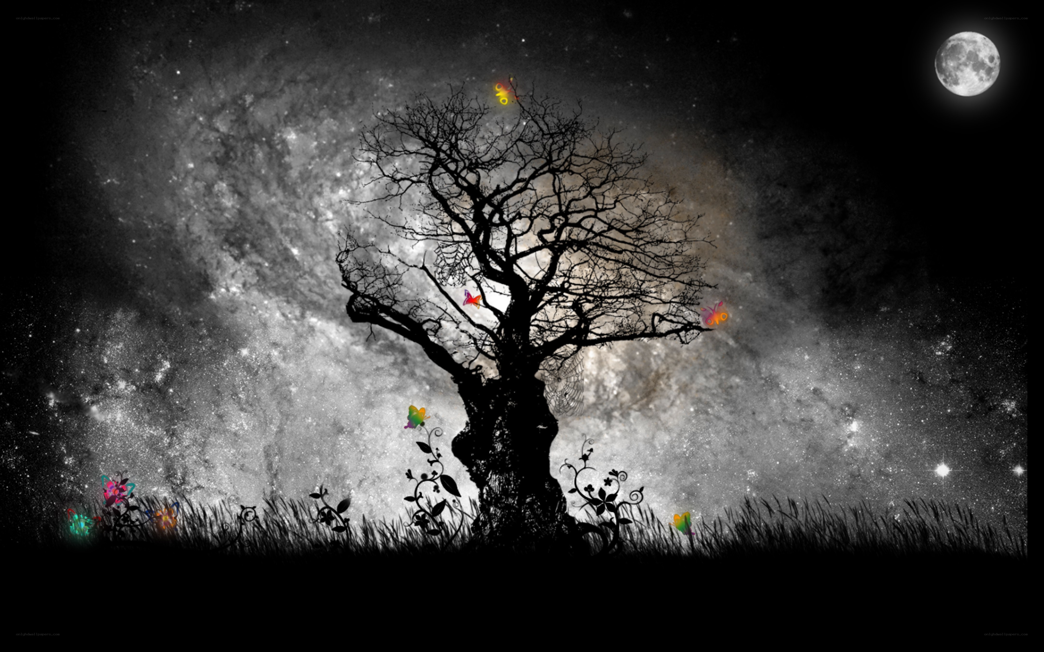 Silhouette tree under starry sky