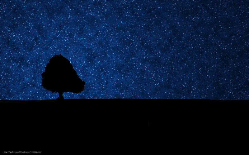 Silhouette tree under starry sky