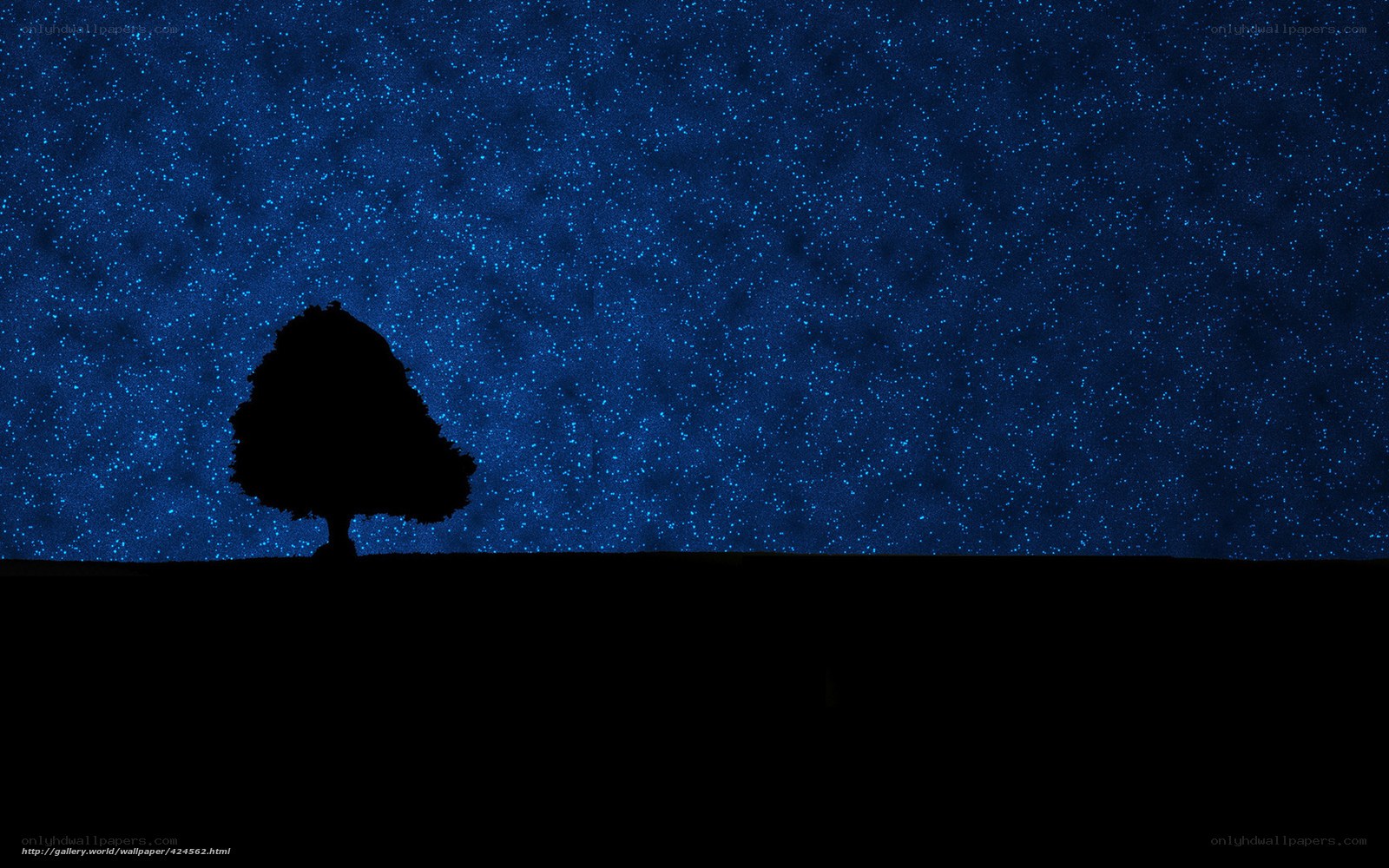 Silhouette tree under starry sky
