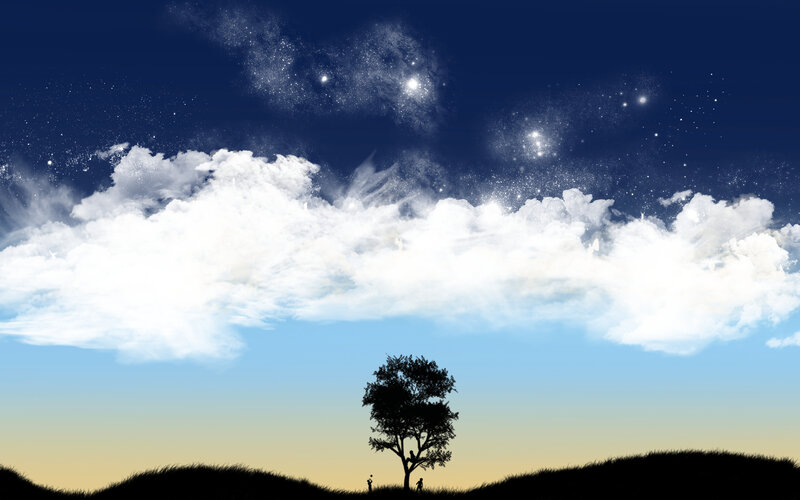 Silhouette tree under starry sky