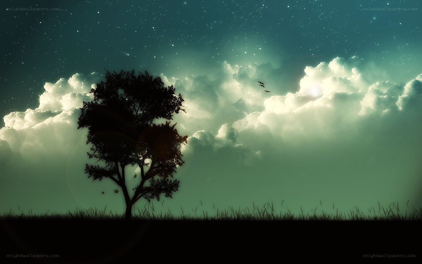 Silhouette tree under starry sky
