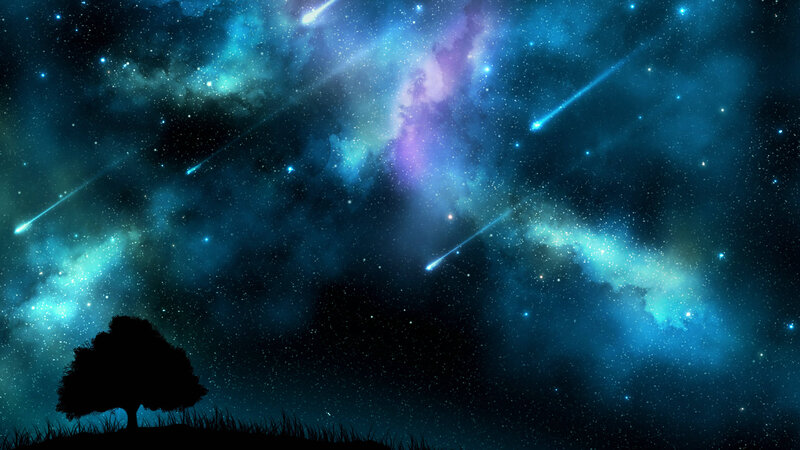 Silhouette Tree under Stars