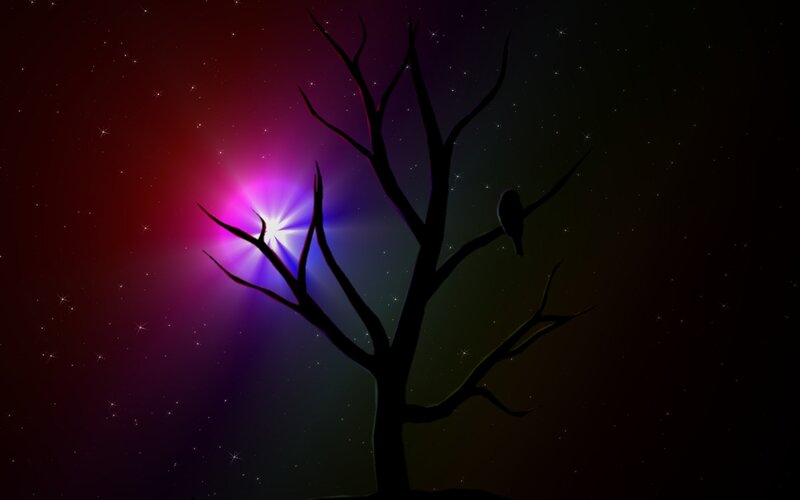 Silhouette Tree with Bird