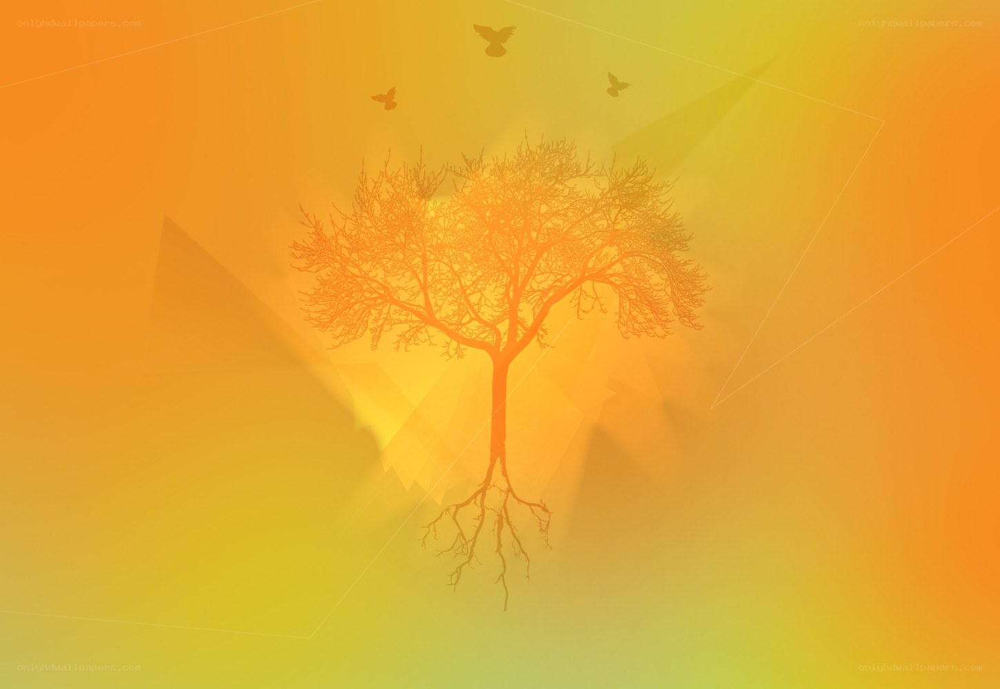 Silhouette tree with birds