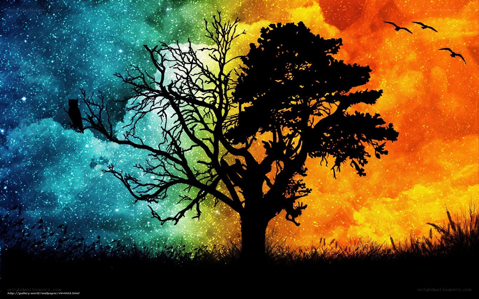 Silhouette tree with colorful sky