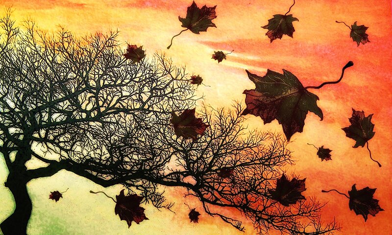Silhouette Tree with Falling Leaves — Orange