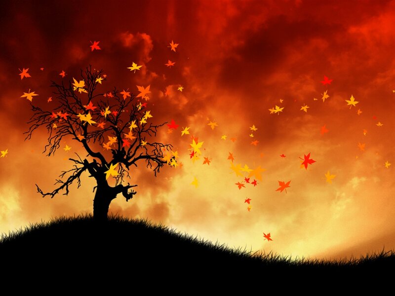 Silhouette Tree with Falling Leaves