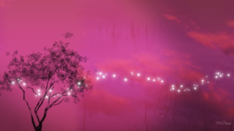 Silhouette Tree with Lights