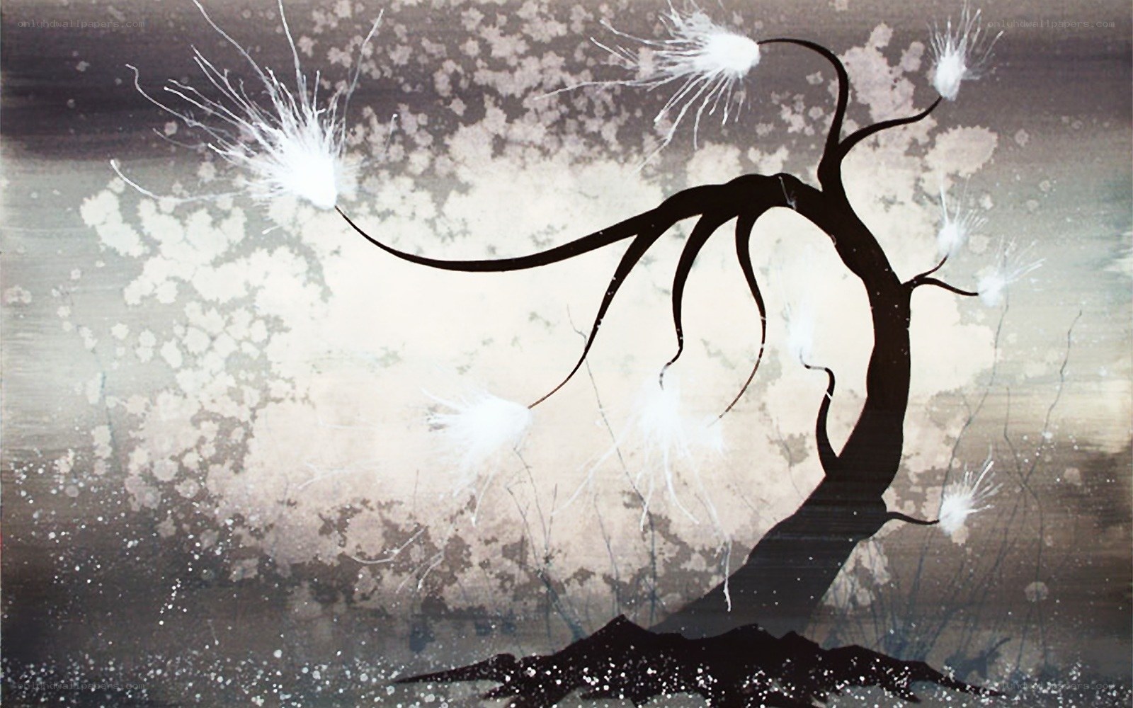 Silhouette tree with white bursts