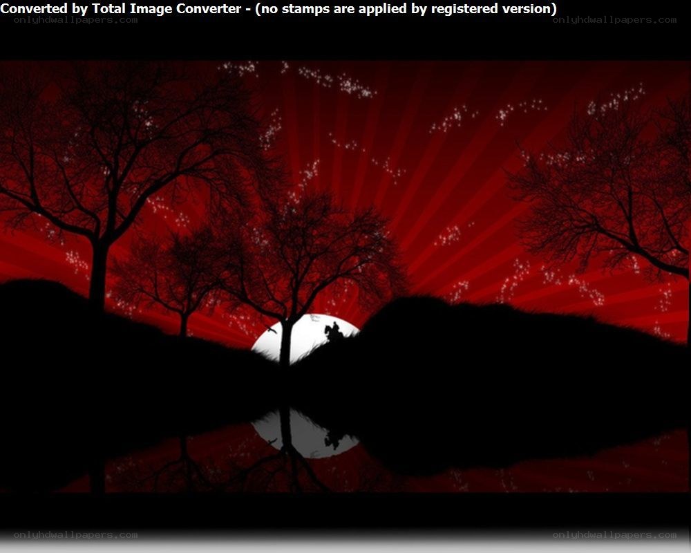 silhouette trees at sunset