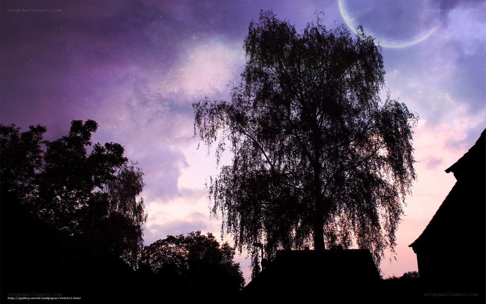 Silhouette trees under purple sky