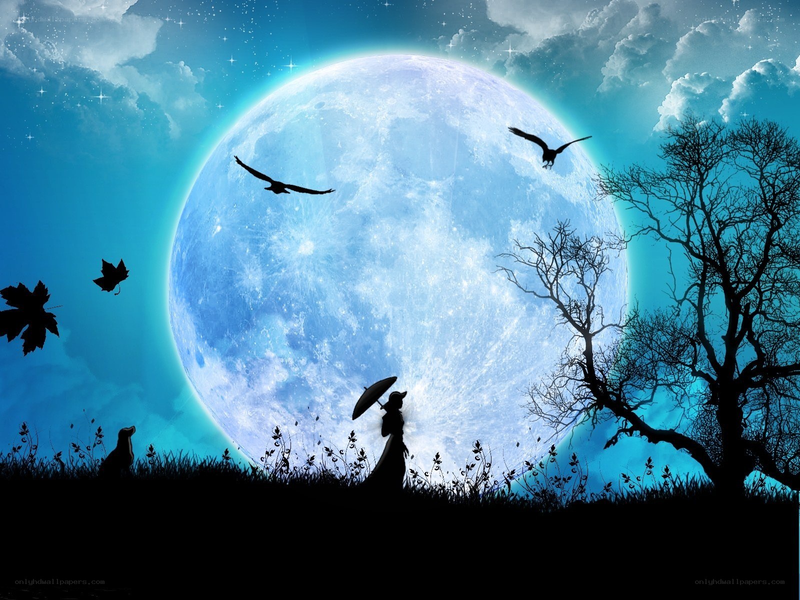 Silhouette under a blue moon