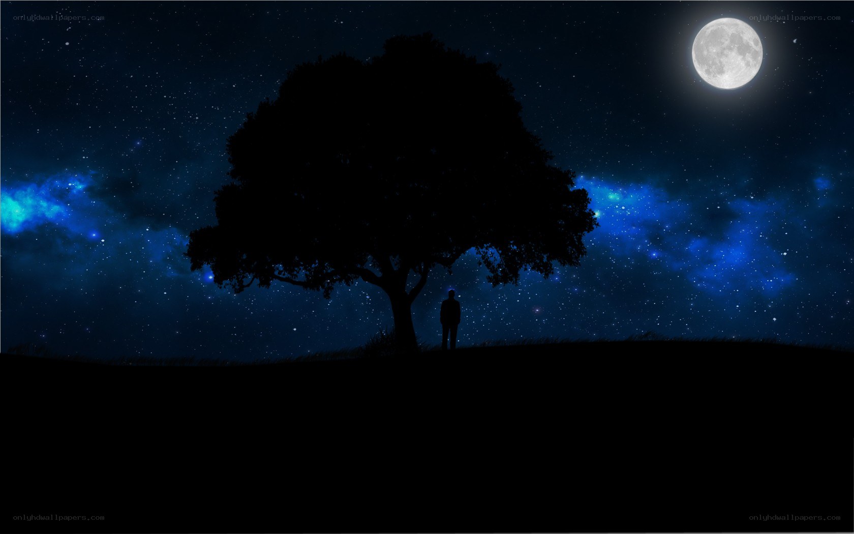 Silhouette under a starry sky