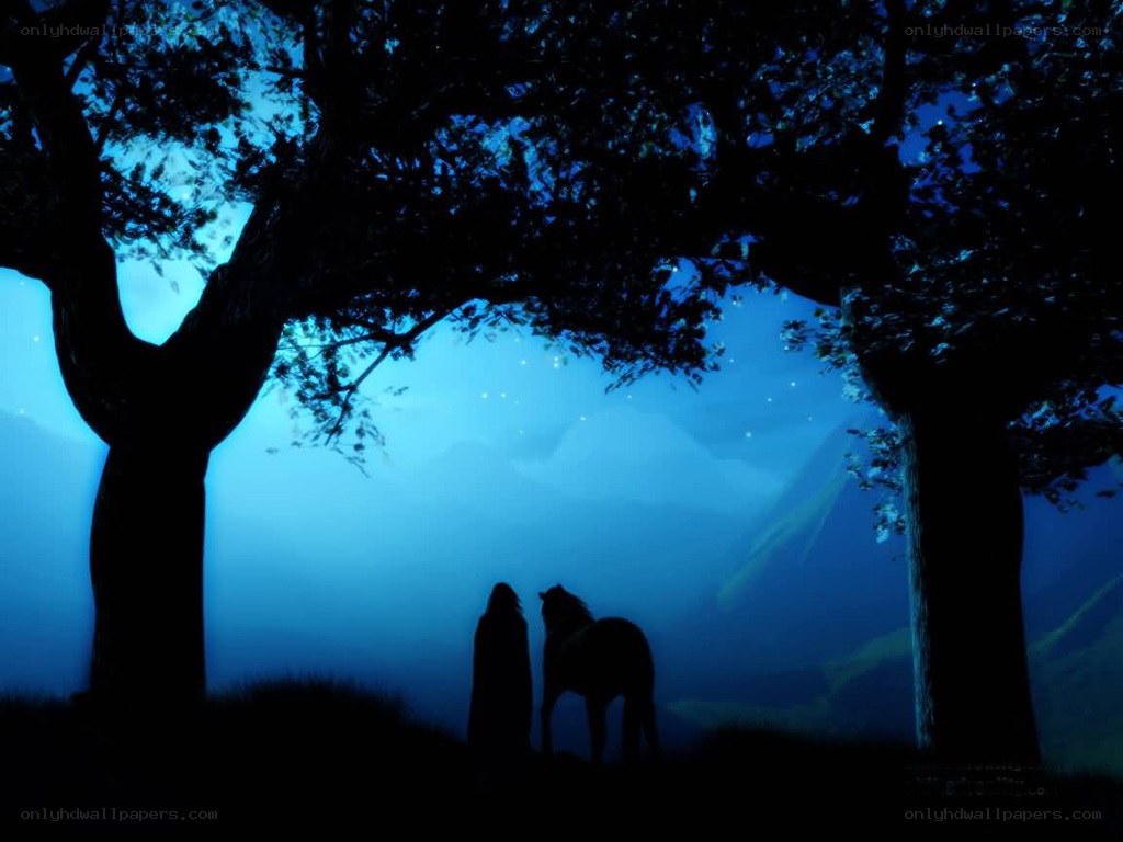 Silhouette under a starry sky