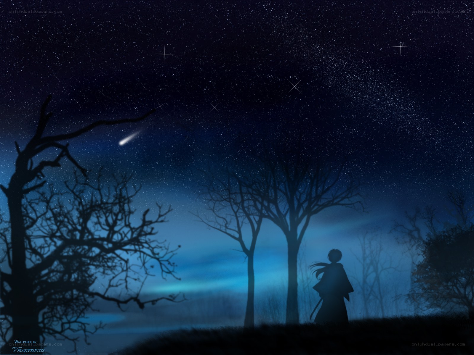 Silhouette under a starry sky
