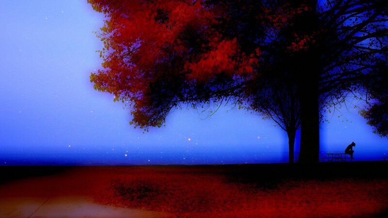 Silhouette under autumn tree