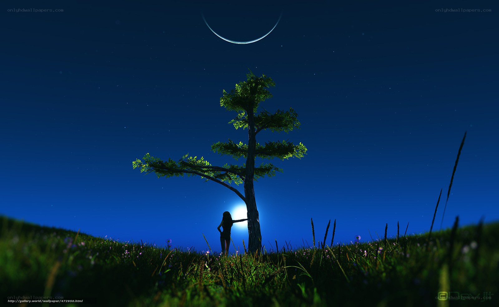 Silhouette under crescent moon