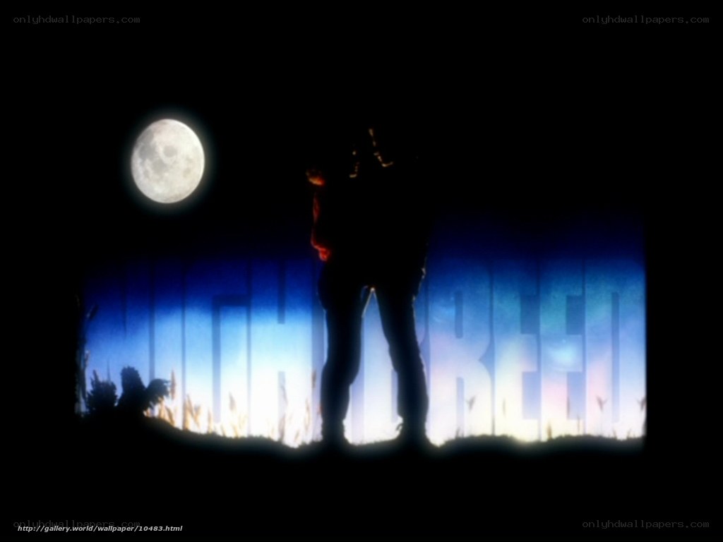 silhouette under full moon
